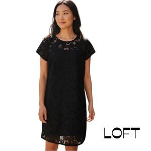LOFT Sheer Black Lace Short Sleeve Dress NWOT Size 8